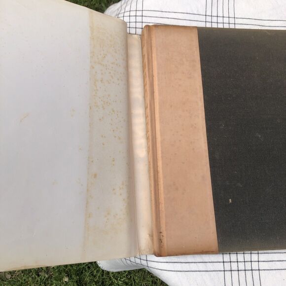 Classic Lines A Gallery of the Great Thoroughbreds 1975 1st Edition Signed - Picture 4 of 7